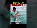 巨大エサなら巨大ヒット