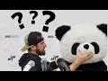 Was Dude Perfect Actually Going To Reveal Panda *exposed*