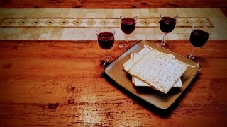 Passover Seder 2017