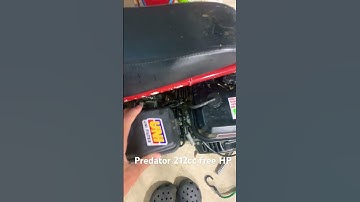 How to get free horsepower on a Predator 212cc engine! #viral #short #predator212 #engine #minibike