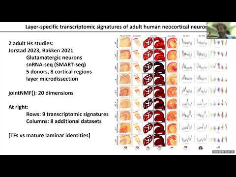NeMO Analytics: A Compendium of Transcriptomic Data for the Exploration of Neocortical Development
