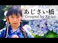 「あじさい橋」城之内早苗/Covered by Eguen