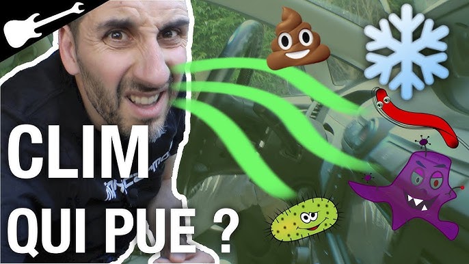 Comment éliminer les mauvaises odeurs dans sa voiture ? : Femme Actuelle Le  MAG