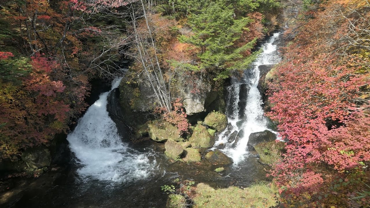 最盛期の紅葉が絶景！》奥日光三名瀑：竜頭の滝【栃木県】(20241027
