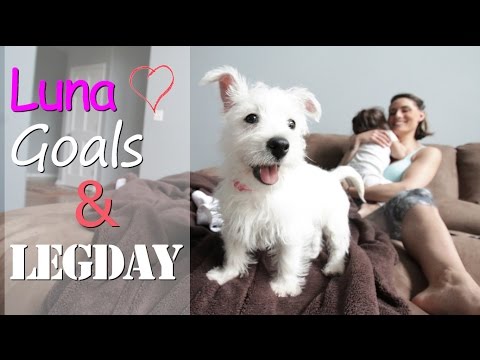 First Morning With Luna & Changing Your Body To Lean, Fit, Curvy, Muscular Vlog 131 - First Morning With Luna & Changing Your Body To Lean, Fit, Curvy, Muscular Vlog 131