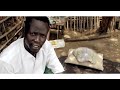 Salamde Salamde: Peace Song by South Sudanese Rebel Squad, 2015 Mp3 Song