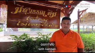 HOW TO CARE FOR PAMA CHICKENS THE MEESUWAN STYLE