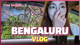 VLOG : A NORMAL DAY IN BENGALURUㅣ인도에서 살기 뱅갈루루 브이로그