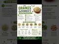 Les bienfaits des graines germées