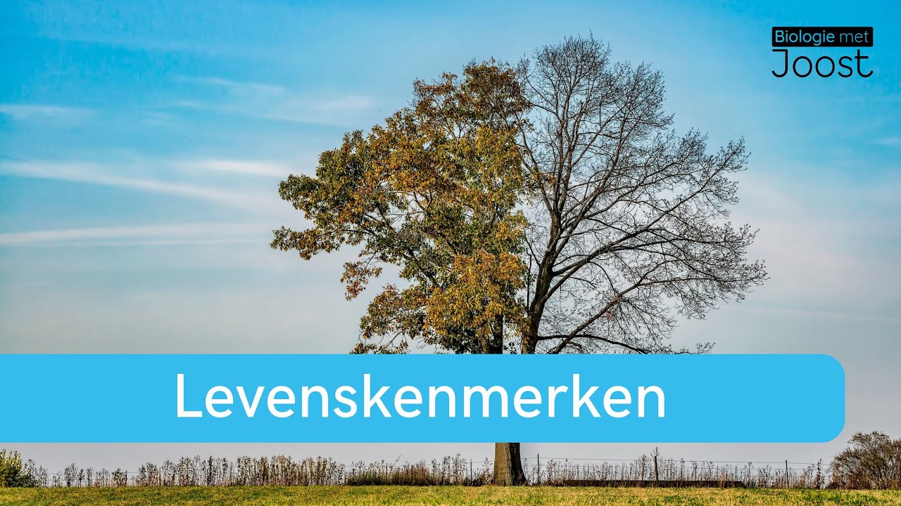 Levenskenmerken | Levend - dood - levenloos - YouTube