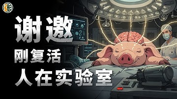 Did the brain in the VAT succeed? Died for 50 minutes and then came back to life 死亡50分钟，ta的脑子竟然又活了