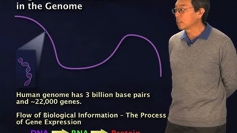Non-coding regions in the genome - Robert Tjian (Berkeley/HHMI)