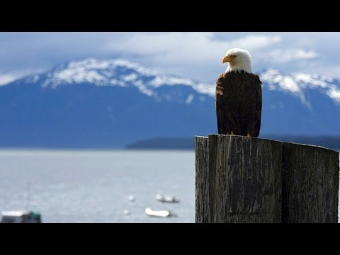 Alaska Doku Alaska Doku
