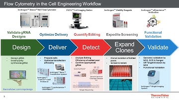 Accelerating gene editing research using the power of flow cytometry