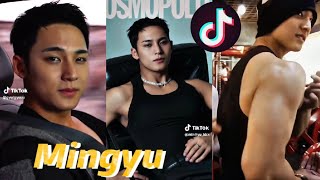 Seventeen Mingyu (Kim Mingyu) #126 Tiktok Edits Compilation