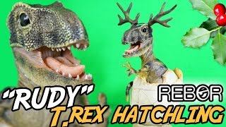 Rebor Rudy T. Rex Baby Hatchling Club Selection Limited Edition