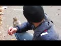 Feeding Squirrels in Battery Park