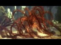 Middle of video