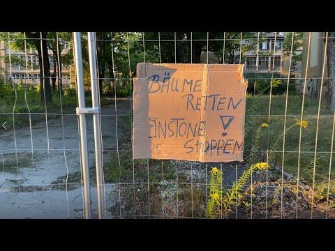 Video: Wer döste unter einem Baum?