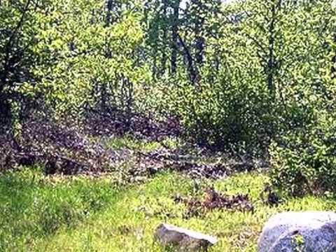 1 Settlement Rd, Long Lake, WI home video tour