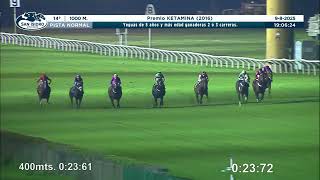 Vidéo de la course PMU PREMIO KETAMINA 2016