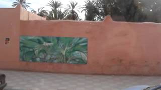 MOV00255