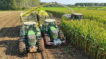 Mais 2023 - Claas Jaguar 990 Terra Trac | Fendt 828 & 826 | Jennissen