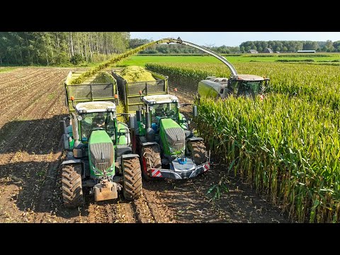 Mais 2023 - Claas Jaguar 990 Terra Trac | Fendt 828 & 826 | Jennissen