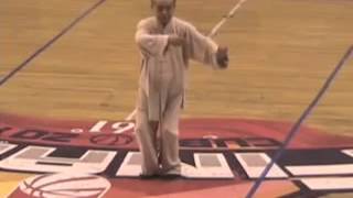 Yang Shi Taijiquan 37 Shi (2) - Master Zhao Youbin (赵幼斌)