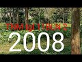 Tanaman tgl 11 pebuari 2008