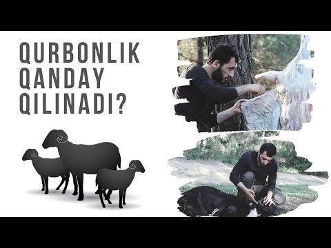 Video: Soat Tartibini Qanday Qilish Kerak