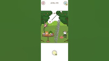 Thief Puzzle - level 173