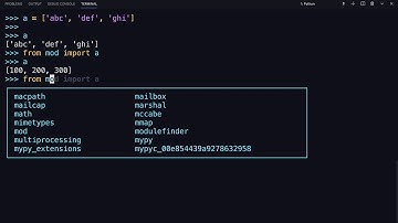 The Python import Statement