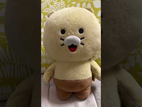 니가 좋아! 니가 좋아! 예뻐서!춘식의 고백 / 춘식이, 니가좋아, 최성곤, 니가좋아최성곤, 춘식이고백, 카카오프렌즈, 고백송, 사랑노래, 사랑고백, 귀여운영상, 감성쇼츠