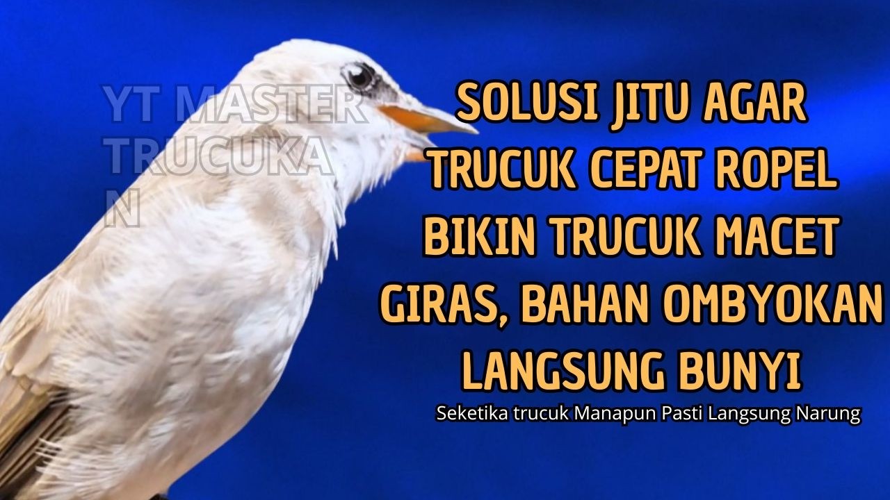 Trucukan GACOR ngalas ROPEL PANJANG suara alam AMPUH buat pancingan jadikan trucuk Gacor GARUDA