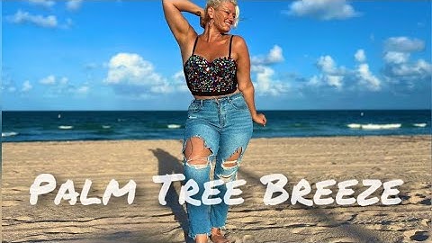 Palm Tree Breeze | OFFICIAL Video #independentartist #vacation #miami #beach #jazz #pop #happy #sun