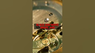 Colorize old photos: Best practices for stunning results on colorizethis.io