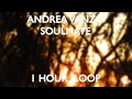 Andrea vanzo   soulmate  1 hour loop 