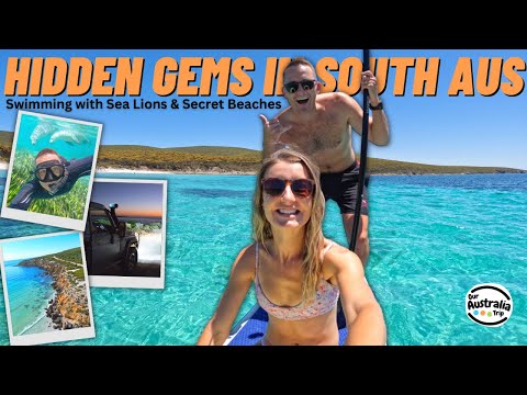 Hidden Gems & Snorkelling with Sea Lions in Port Lincoln South Australia | Caravan Australia [EP19]