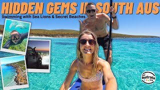 Hidden Gems & Snorkelling with Sea Lions in Port Lincoln South Australia | Caravan Australia [EP19]