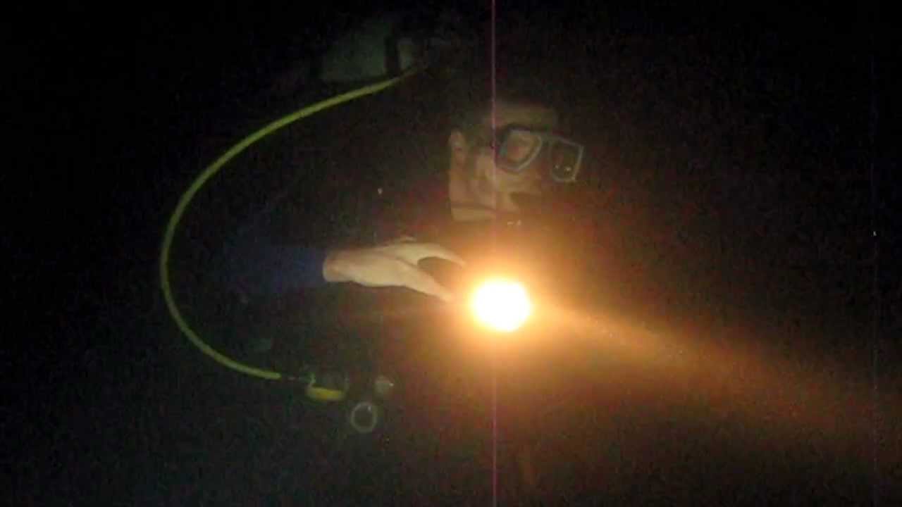 Desert Night Dive in Arizona