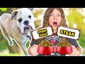 MY DOG CONTROLS MY LIFE FOR A DAY! 24 HOUR CHALLENGE with FUN AND CRAZY KIDS!