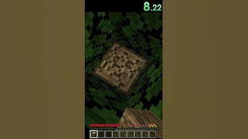 Minecraft Random Item Speedrun: Item Frame #shorts