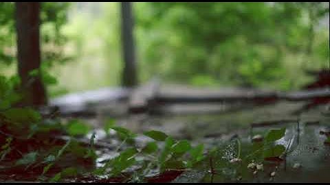 ﴿اقتَرَبَ لِلنّاسِ حِسابُهُم وَهُم في غَفلَةٍ مُعرِضونَ﴾ - تلاوة مؤثرة لبعض آيات سورة الأنبياء