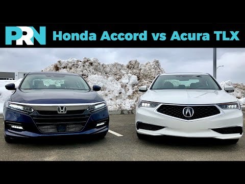 honda-accord-vs-acura-tlx-|-testdrive-showdown