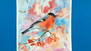 Watercolour painting Bullfinch /Снегирь акварелью