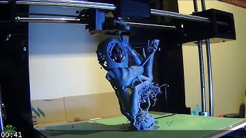 Anet A6 Female Stenotypist timelapse