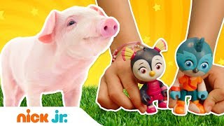 Top Wings Face A Cute Pig Problem Toy Farm Nick Jr.