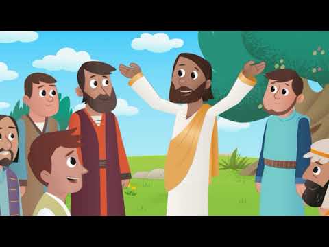 Video: Ce este recolta în Biblie?