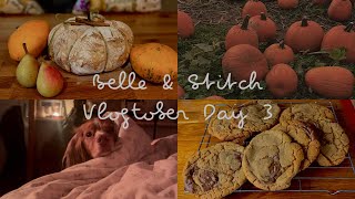 Belle & Stitch - Vlogtober Day 3 ♥︎